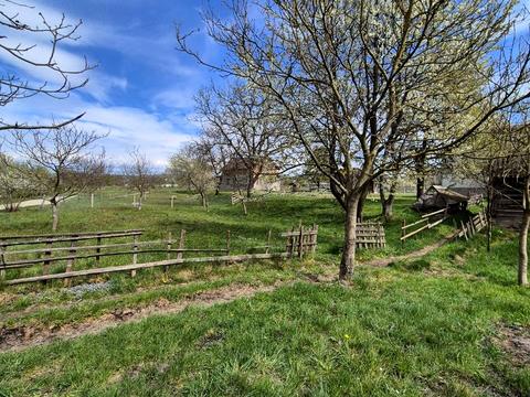 будинок за адресою Заріка