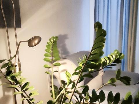 квартира за адресою Володимира Івасюка просп. (Героїв Сталінграду), 6-А