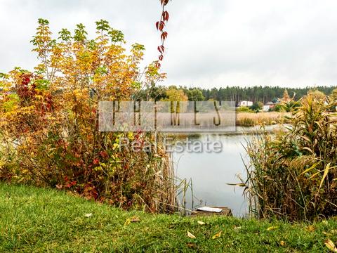 комерційна за адресою Залужний пров., 5