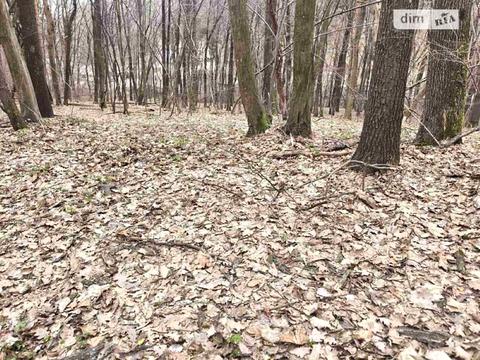 ділянка за адресою Замарстинівська вул. (Калініна)
