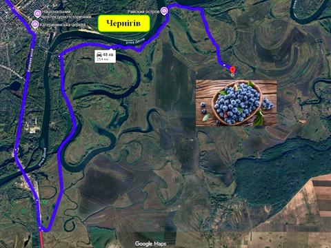 ділянка за адресою польова, 1