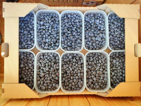 ділянка за адресою польова, 1