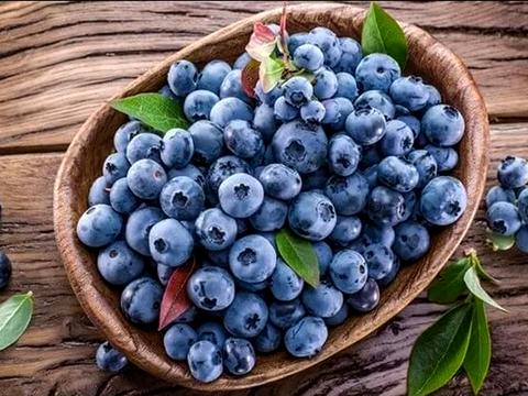 ділянка за адресою польова, 1