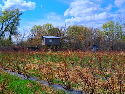 ділянка за адресою польова, 1