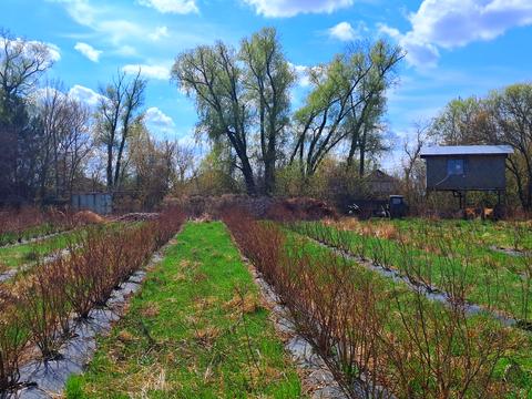 ділянка за адресою польова, 1