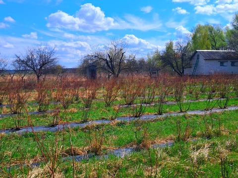 ділянка за адресою польова, 1