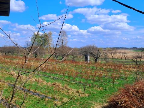 ділянка за адресою польова, 1