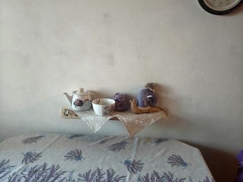 квартира по адресу Бехтеревский пер., 10