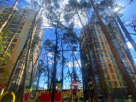 квартира за адресою Київ, Анатолія Петрицького вул., 13