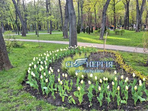 квартира за адресою Ризька вул., 73-Г