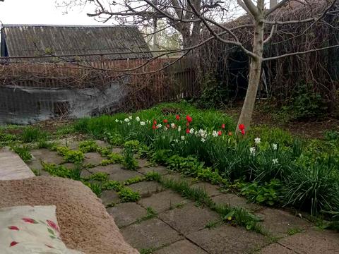 будинок за адресою Одеса, Зелена Балка вул.