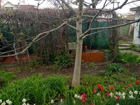 будинок за адресою Одеса, Зелена Балка вул.