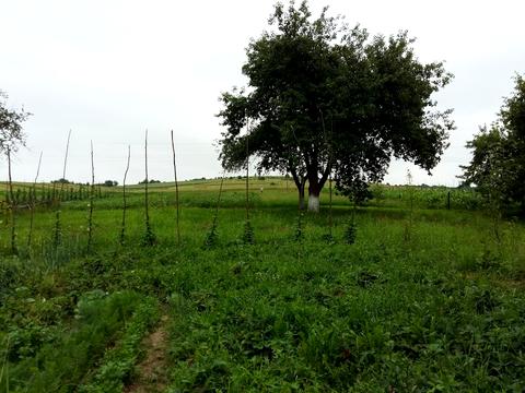 будинок за адресою Шевченка