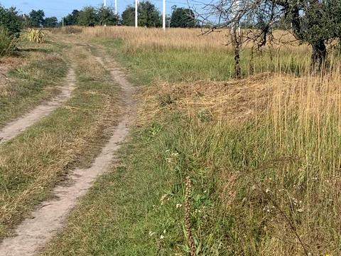 участок по адресу с. Мироцкое, Лісова, 8