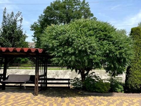 комерційна за адресою Лесі Українки вул., 2Б