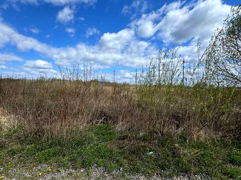 участок по адресу с. Лисиничи, Сагайдачного