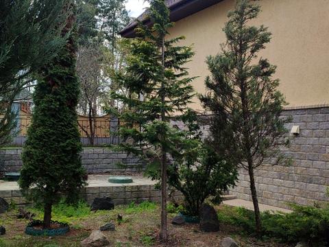 ділянка за адресою Польова