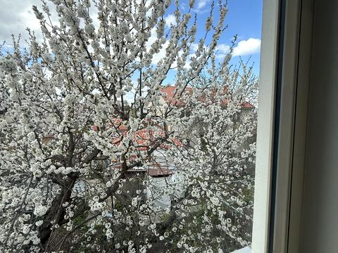 будинок за адресою Видьямса