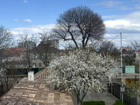 будинок за адресою Видьямса