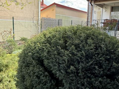 будинок за адресою Видьямса