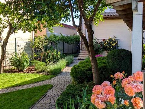 будинок за адресою Видьямса