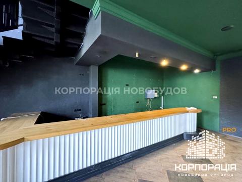 комерційна за адресою Івана Чендея вул., 5-А