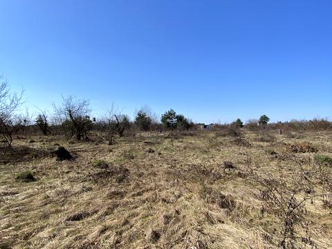 ділянка за адресою центральна, 88