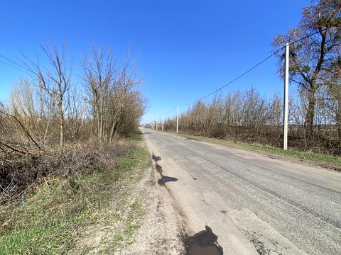 ділянка за адресою центральна, 88