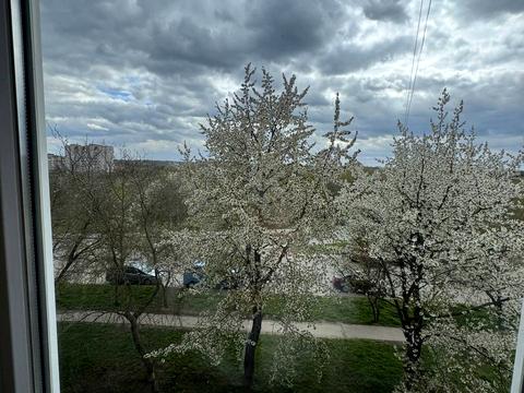 квартира по адресу Довженка ул., 16