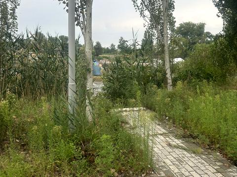 будинок за адресою Чубанова, 8