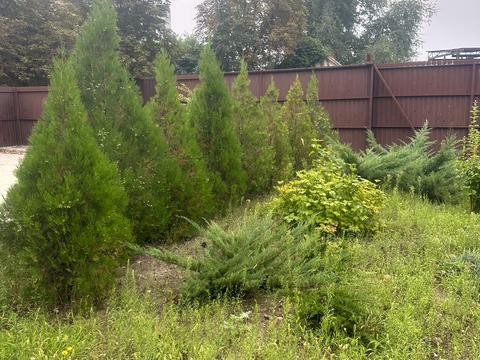 будинок за адресою Чубанова, 8