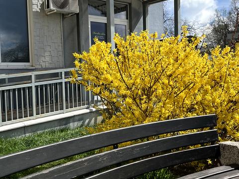 квартира по адресу Михайловская ул., (Будинок 1)