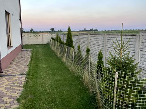 дом по адресу с. Великая омеляна, Чечета