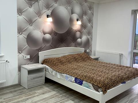 дом по адресу с. Великая омеляна, Чечета