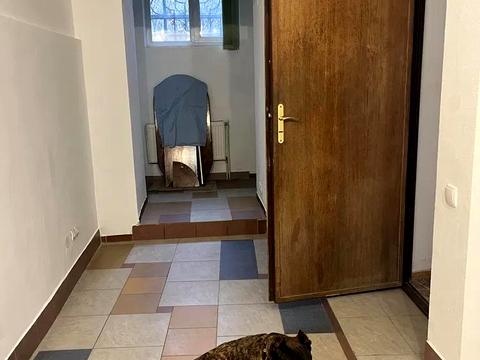 комерційна за адресою Михайла Коцюбинського вул., 23