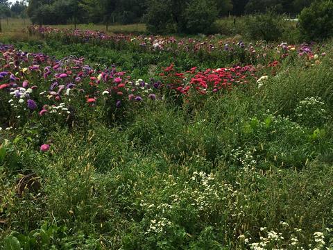 дом по адресу Незалежності