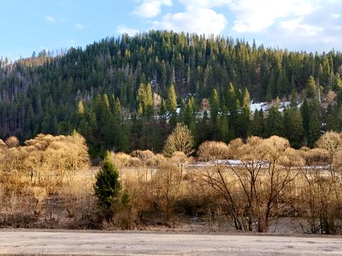 участок по адресу с. Головецко, Шевченка, 3