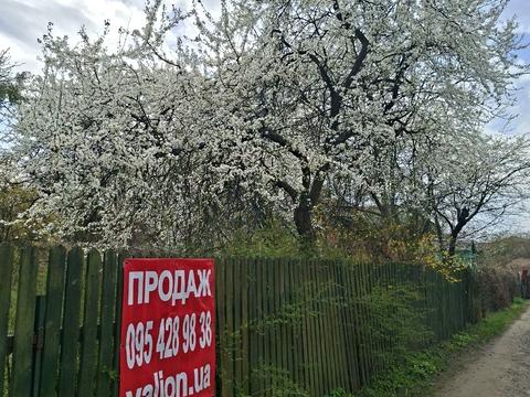участок по адресу 24 Садова вул.