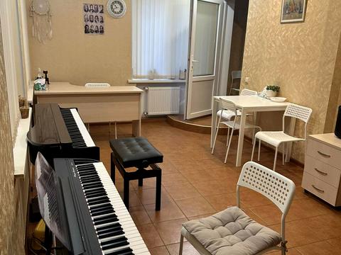 комерційна за адресою Пантелеймонівська вул., 28