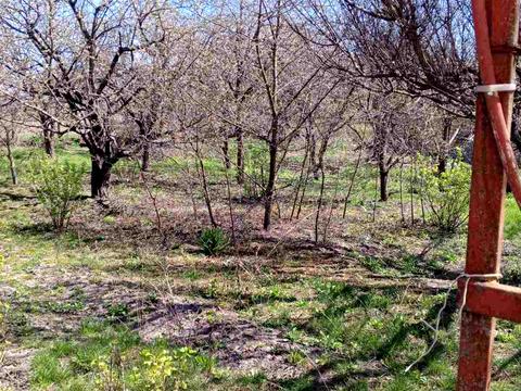 дом по адресу Ватутина, 12