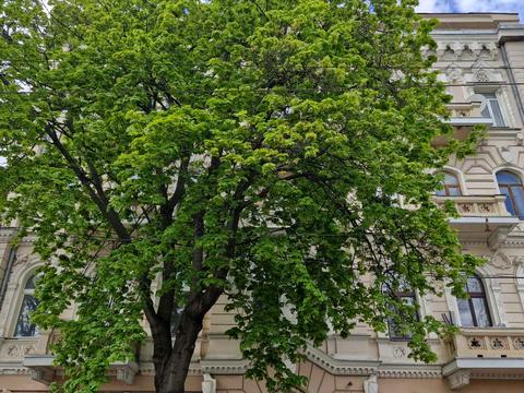 комерційна за адресою Пантелеймонівська вул., 28