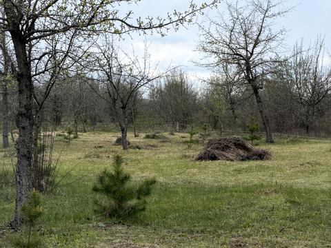 участок по адресу 