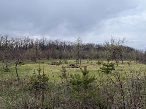 участок по адресу 