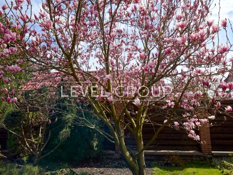 дом по адресу Старокиевская ул.