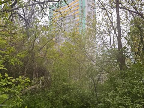 ділянка за адресою Западинська вул., 6