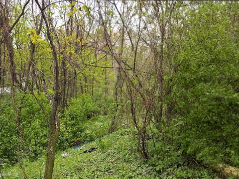 ділянка за адресою Западинська вул., 6