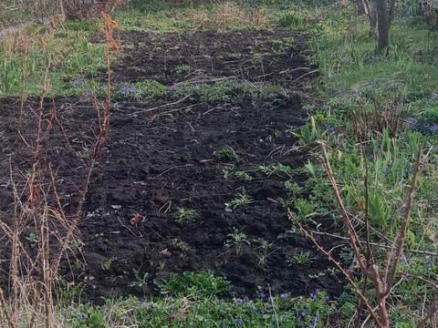 участок по адресу Землестроительная ул., 58