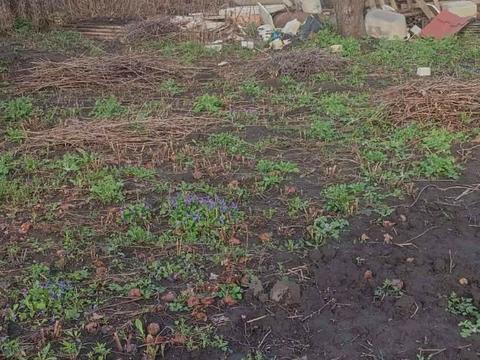 участок по адресу Землестроительная ул., 58