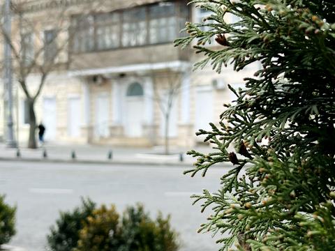 квартира по адресу Софиевская ул., 34