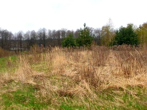 участок по адресу Морозова, 32